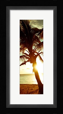 Framed Warm Bimini Palm Print
