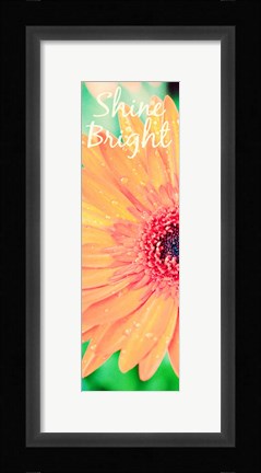 Framed Shine Bright Daisy Print