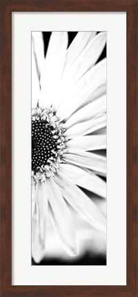 Framed White Bloom I Print