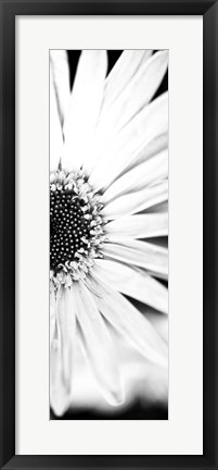 Framed White Bloom I Print