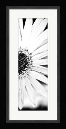Framed White Bloom I Print