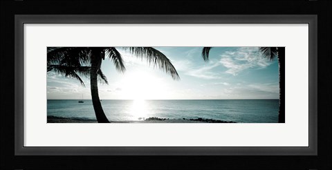 Framed Cool Bimini II Print