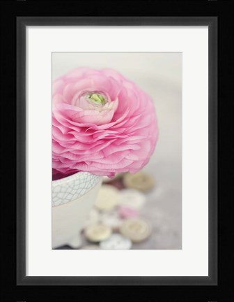 Framed Softy Elegant II Print