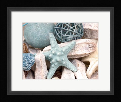 Framed Bundle of Shells I Print