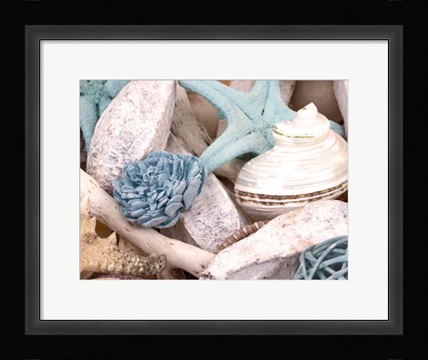 Framed Bundle of Shells II Print