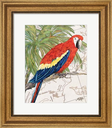 Framed Another Bird in Paradise I Print