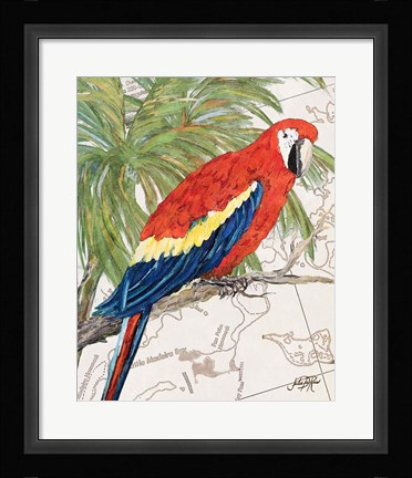 Framed Another Bird in Paradise I Print
