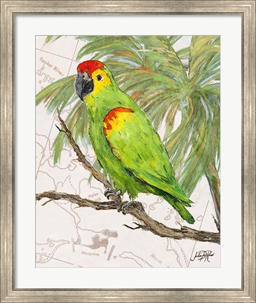 Framed Another Bird in Paradise II Print