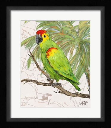 Framed Another Bird in Paradise II Print