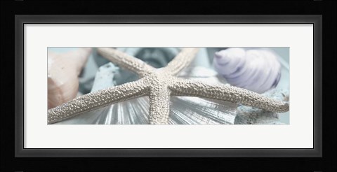 Framed Gold Seashells II Print