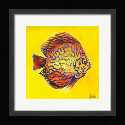 Framed Bright Aquatic Life I Print