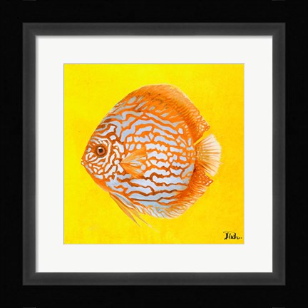 Framed Bright Aquatic Life IV Print