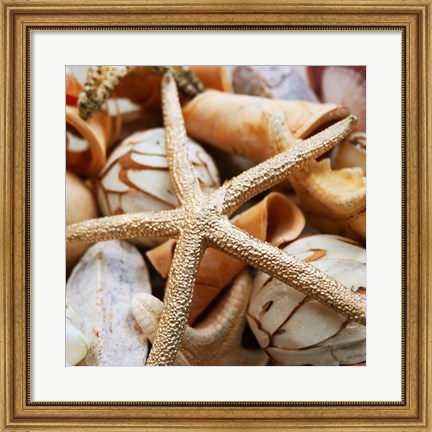 Framed Gold Starfish I Print