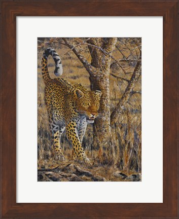 Framed Leopard Walking Print