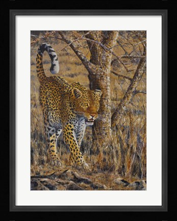 Framed Leopard Walking Print