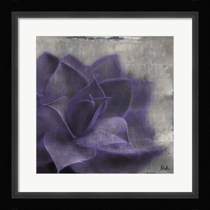 Framed Lavender Succulent II Print