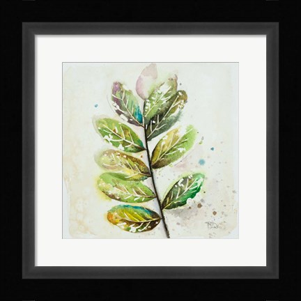 Framed Global Leaves III Print
