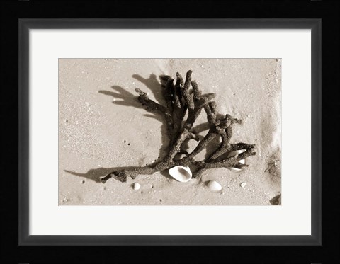 Framed Coral on Sand Print