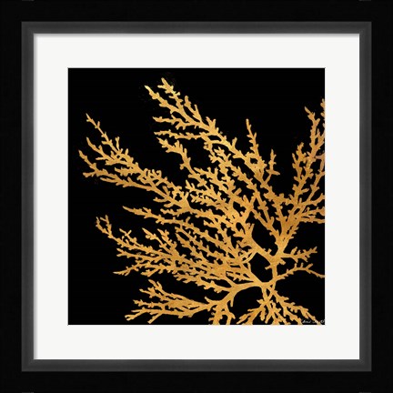 Framed Coastal Coral on Black I Print