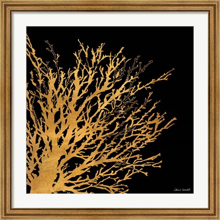 Framed Coastal Coral on Black II Print