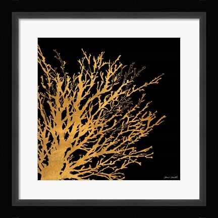 Framed Coastal Coral on Black II Print
