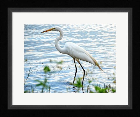Framed By The Lake Egret Print
