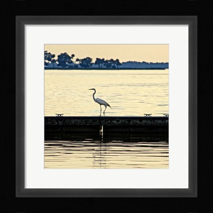 Framed Along The Pier Print