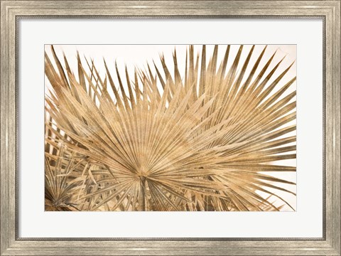 Framed Dry Palm Leaves Panel Print