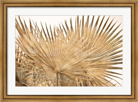 Framed Dry Palm Leaves Panel Print