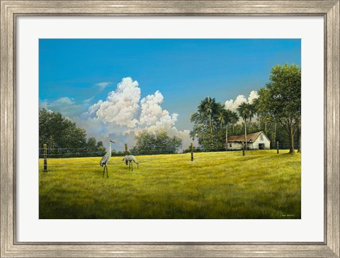 Framed Crane Field Print
