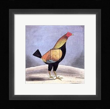 Framed Champion Print