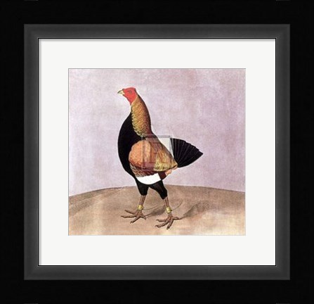 Framed Enomenon Print