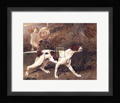 Framed Pointer Print