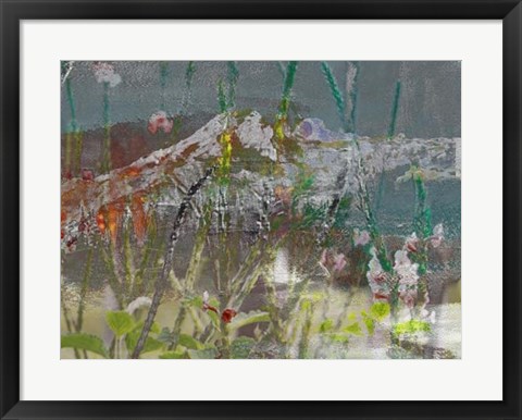 Framed Mountain Wildflowers II Print