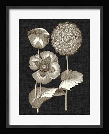 Framed Dramatic Chintz III Print