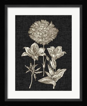 Framed Dramatic Chintz IV Print