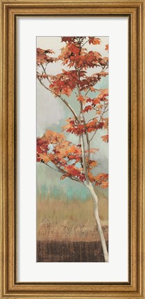 Framed Maple Tree I Print
