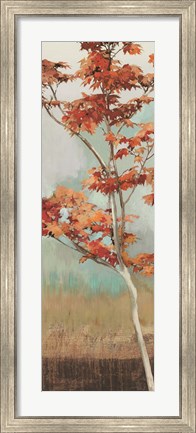 Framed Maple Tree I Print