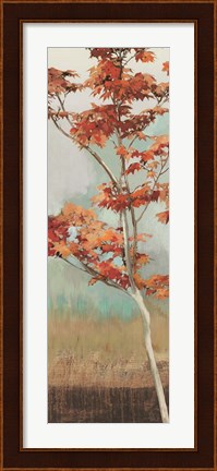 Framed Maple Tree I Print