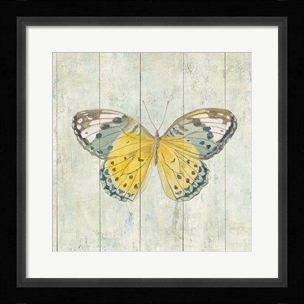 Framed Natural Flora IX Print