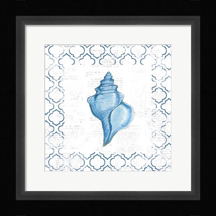 Framed Navy Conch Shell on Newsprint Print