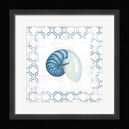 Framed Navy Nautilus Shell on Newsprint Print