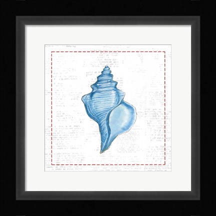 Framed Navy Conch Shell on Newsprint with Red Print