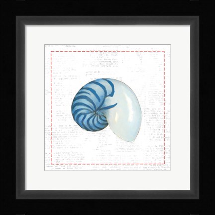 Framed Navy Nautilus Shell on Newsprint with Red Print