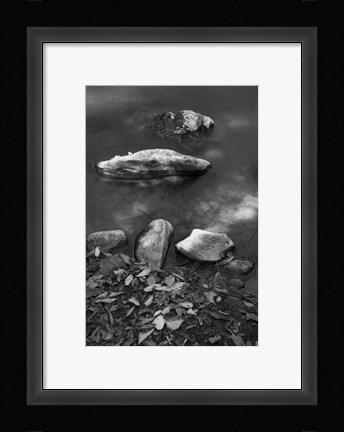 Framed Caudales Print