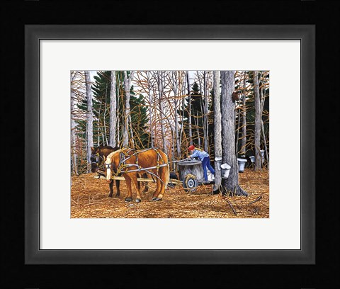 Framed Gathering The Sap Print