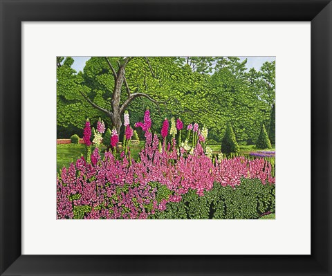 Framed Foxglove Garden Print