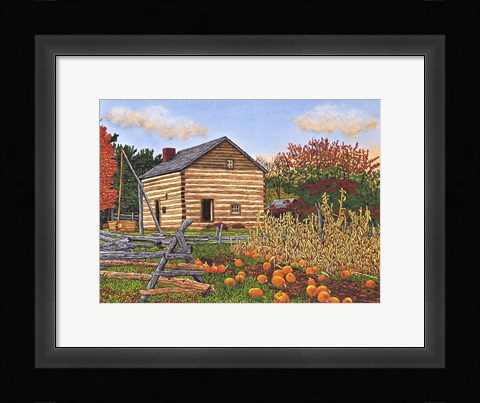 Framed Pumpkin Patch At Mumford Ny Print