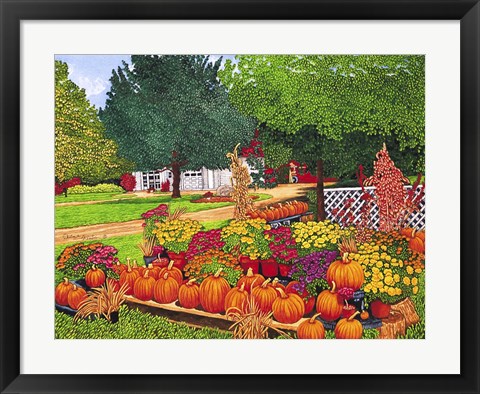 Framed Pumpkins In Patchin, Ny Print