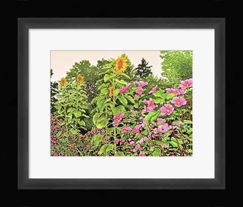 Framed Sunflower Quartet Print